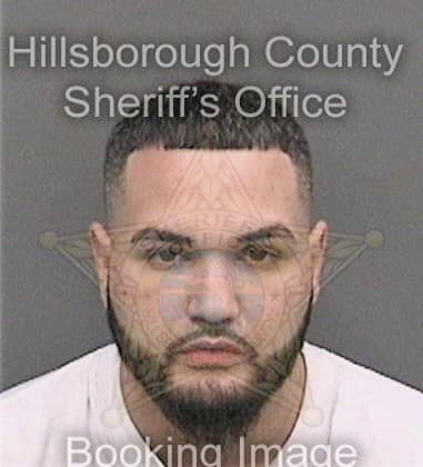 Victor Chavezaguilar - Hillsborough County, FL 