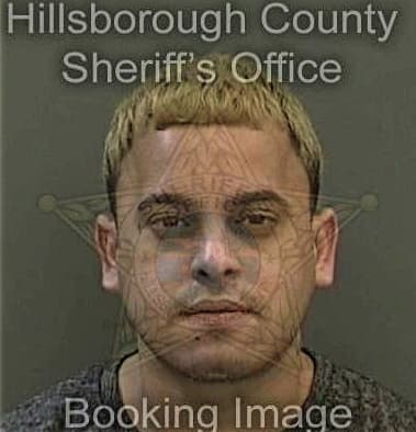 David Mirsky - Hillsborough County, FL 