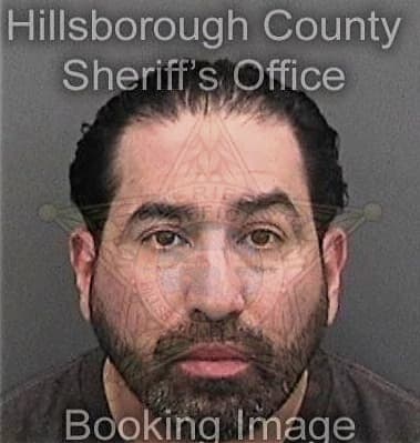 Ervin Ramoslopez, - Hillsborough County, FL 