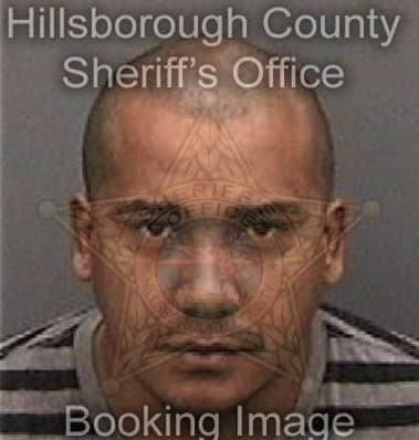 Ryan Riggs, - Hillsborough County, FL 