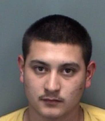 Luis Torres, - Pinellas County, FL 