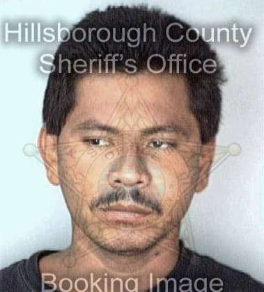 Terry Braxton - Hillsborough County, FL 
