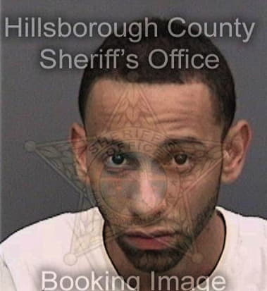 Brian Insua, - Hillsborough County, FL 