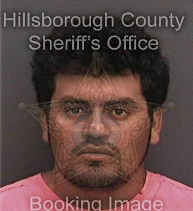 Andrew McConnell - Hillsborough County, FL 