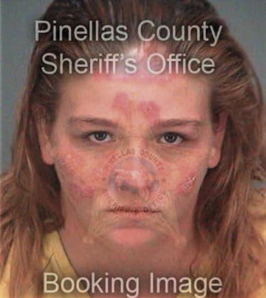 Amanda Bodine, - Pinellas County, FL 