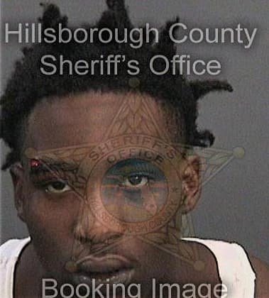 Ryan King, - Hillsborough County, FL 