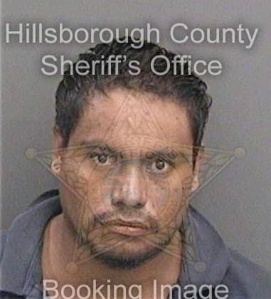 Michael Pethtel, - Hillsborough County, FL 