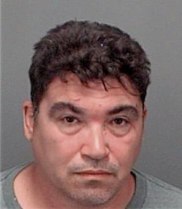 Reinier Rojasgomez, - Pinellas County, FL 