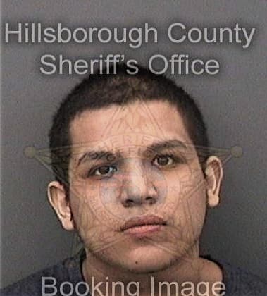 Matthew Wilkinson - Hillsborough County, FL 