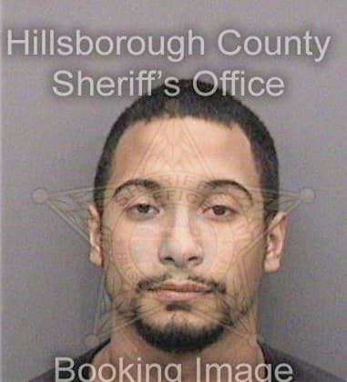 William Williams, - Hillsborough County, FL 