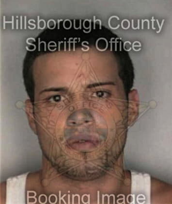 Ahmed Zoubaeir, - Hillsborough County, FL 