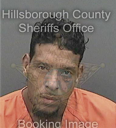 Eduardo Collinpantaleon - Hillsborough County, FL 