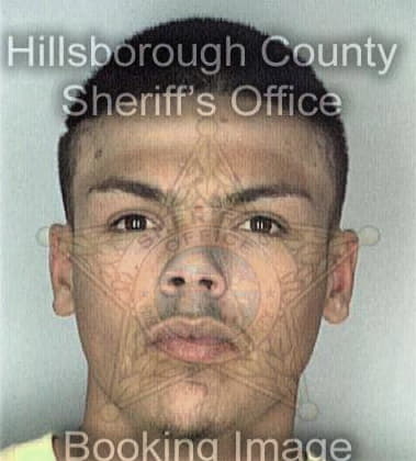 Michael Crowson, - Hillsborough County, FL 