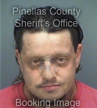 Alan Darulla, - Pinellas County, FL 