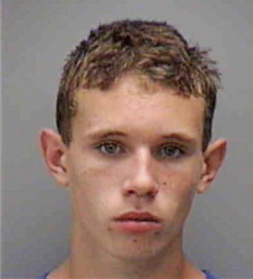 Nicholas Hamilton, - Lee County, FL 