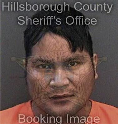 Julio Ocasioechevarria, - Hillsborough County, FL 