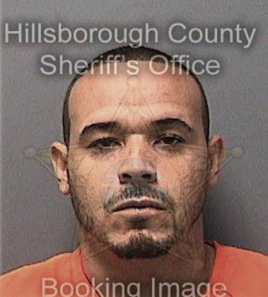 James Revear, - Hillsborough County, FL 