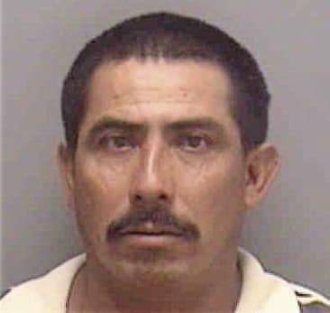 Luis Viruel-Larumbe, - Lee County, FL 