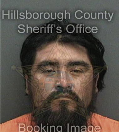 Jorge Bobesilva - Hillsborough County, FL 