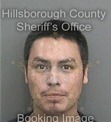 Christopher Collard - Hillsborough County, FL 