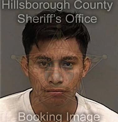 Darren Ewing, - Hillsborough County, FL 