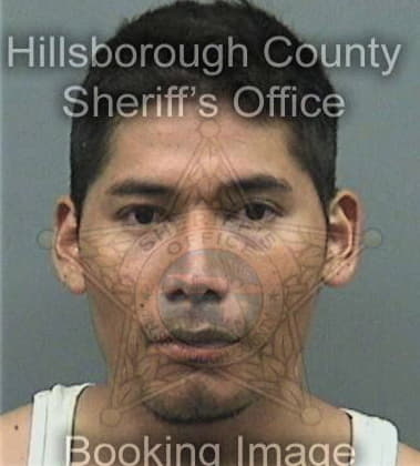 Luis Lunaalonzo, - Hillsborough County, FL 