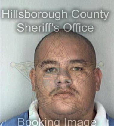 Jose Mendiola - Hillsborough County, FL 