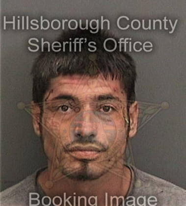 Carlos Montes, - Hillsborough County, FL 