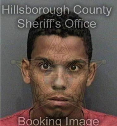 Michael Ruddy, - Hillsborough County, FL 