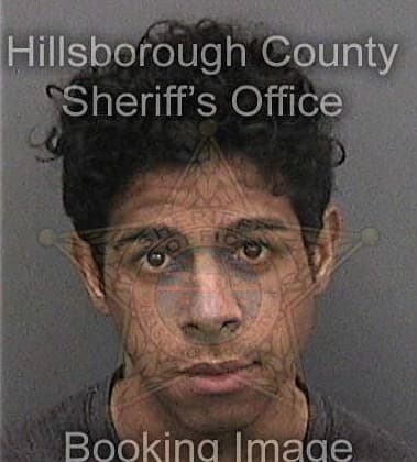 Gustavo Acevedo-Felix, - Hillsborough County, FL 