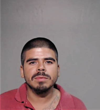 Mario Castillo, - Hidalgo County, TX 