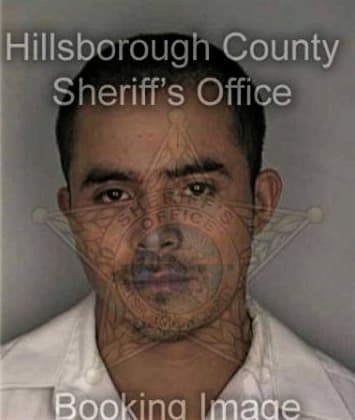Matthew Clark - Hillsborough County, FL 