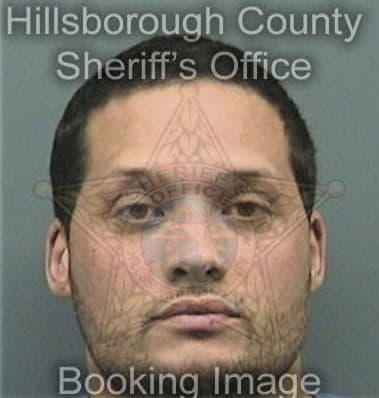 Erik Diazaldana, - Hillsborough County, FL 