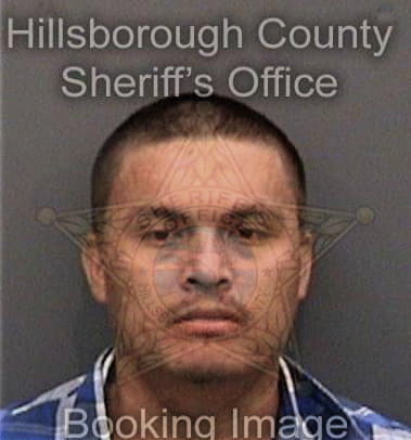 Ramon Duenopagan, - Hillsborough County, FL 