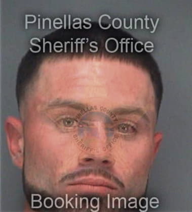 Sean Gregonis, - Pinellas County, FL 