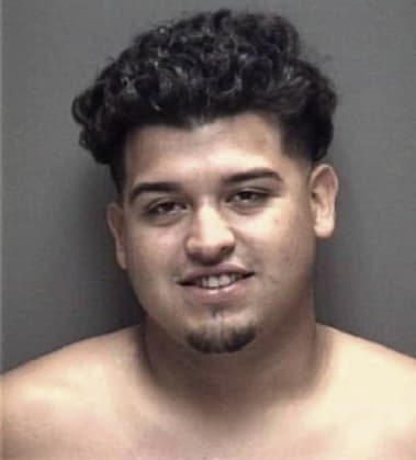 Jose Hernandez-Solis, - Galveston County, TX 