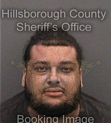 Angel Hernandeztellez - Hillsborough County, FL 