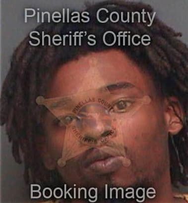 Gregory Johnson, - Pinellas County, FL 