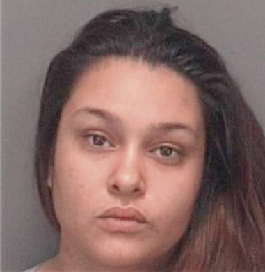 Angelica Santana-Mesonera, - Pinellas County, FL 