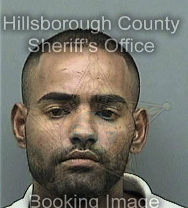 Branimir Slavic, - Hillsborough County, FL 