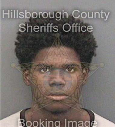 Dale Hankerson, - Hillsborough County, FL 