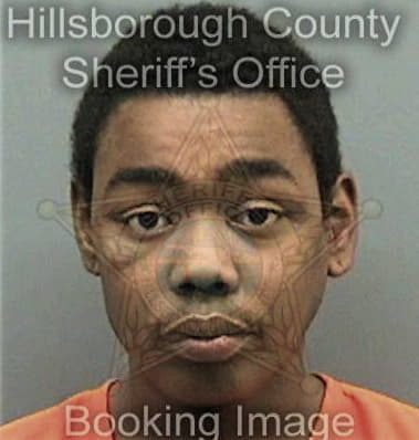 Dana Hicks - Hillsborough County, FL 