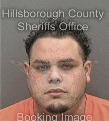 Timothy King, - Hillsborough County, FL 