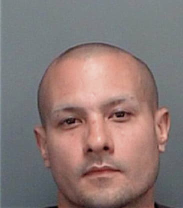 Miguel Pelaxtla, - Pinellas County, FL 