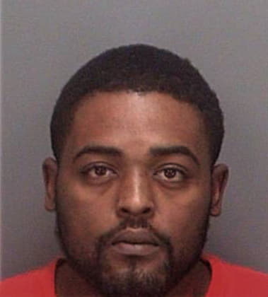 Robert Simmons - Pinellas County, FL 