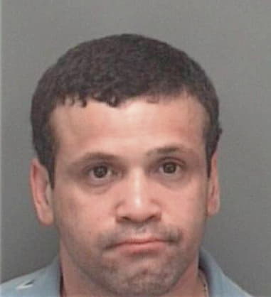 Brad Simon - Pinellas County, FL 