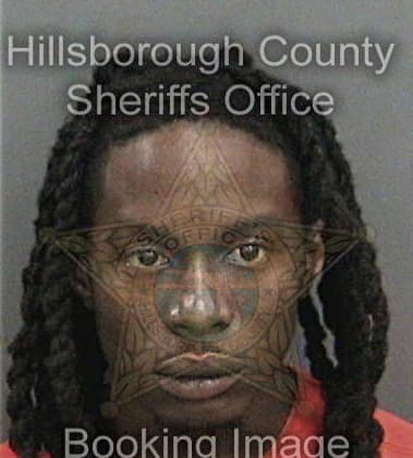 Arthur Johnson, - Hillsborough County, FL 