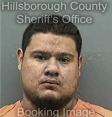 Thomas Kinsella, - Hillsborough County, FL 