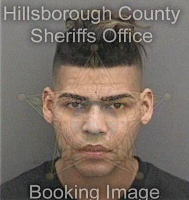 Francis Pravata, - Hillsborough County, FL 