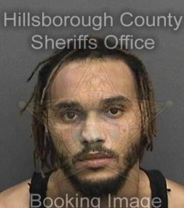 Christian Agosto, - Hillsborough County, FL 